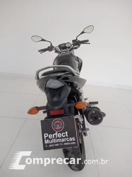 YS 250 FAZER BLUEFLEX