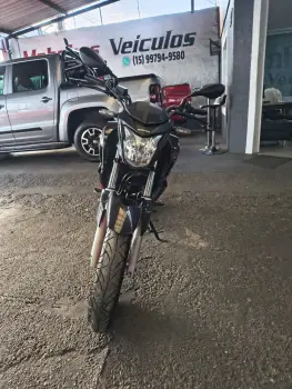 CB 250 TWISTER/FLEXONE