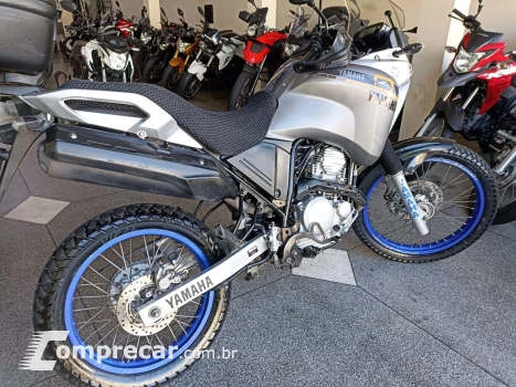 XTZ 250 TENERE/TENERE BLUEFLEX