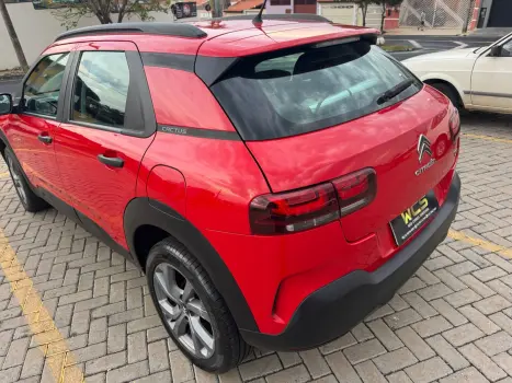 C4 Cactus Feel AT