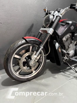 V-ROD MUSCLE 1250 VRSCF