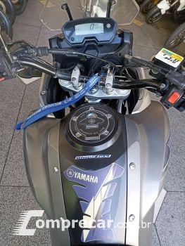 XTZ 250 TENERE/TENERE BLUEFLEX