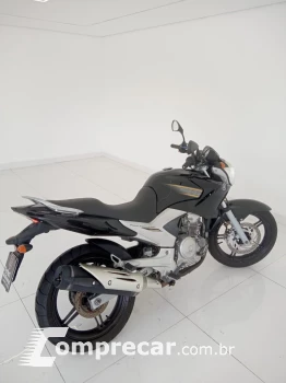 YS 250 FAZER BLUEFLEX