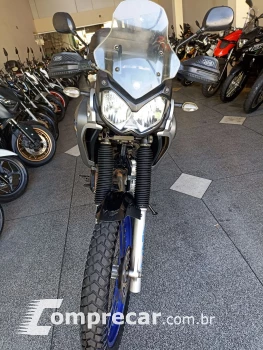 XTZ 250 TENERE/TENERE BLUEFLEX