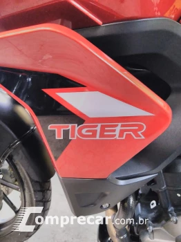 Tiger 900 gt pro