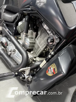 V-ROD MUSCLE 1250 VRSCF