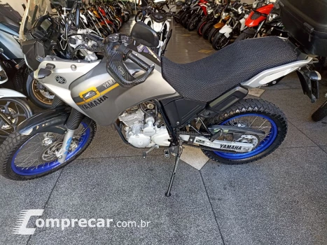 XTZ 250 TENERE/TENERE BLUEFLEX