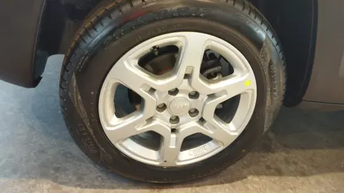 RENEGADE 1.3 T270 Turbo