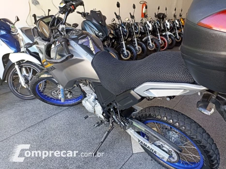 XTZ 250 TENERE/TENERE BLUEFLEX