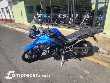 Triumph tiger xrx