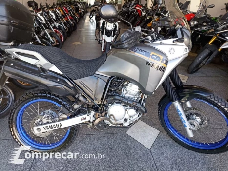 Yamaha XTZ 250 TENERE/TENERE BLUEFLEX