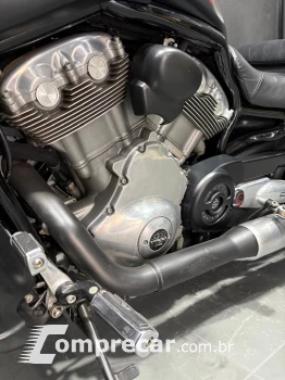 V-ROD MUSCLE 1250 VRSCF